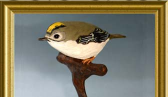 gold crest - Regulus regulus